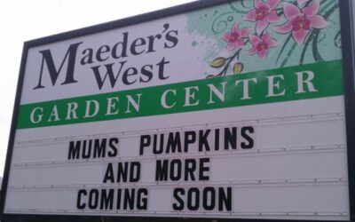 Meader's West Garden Center - Troy