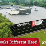 Career growth at Signarama Troy